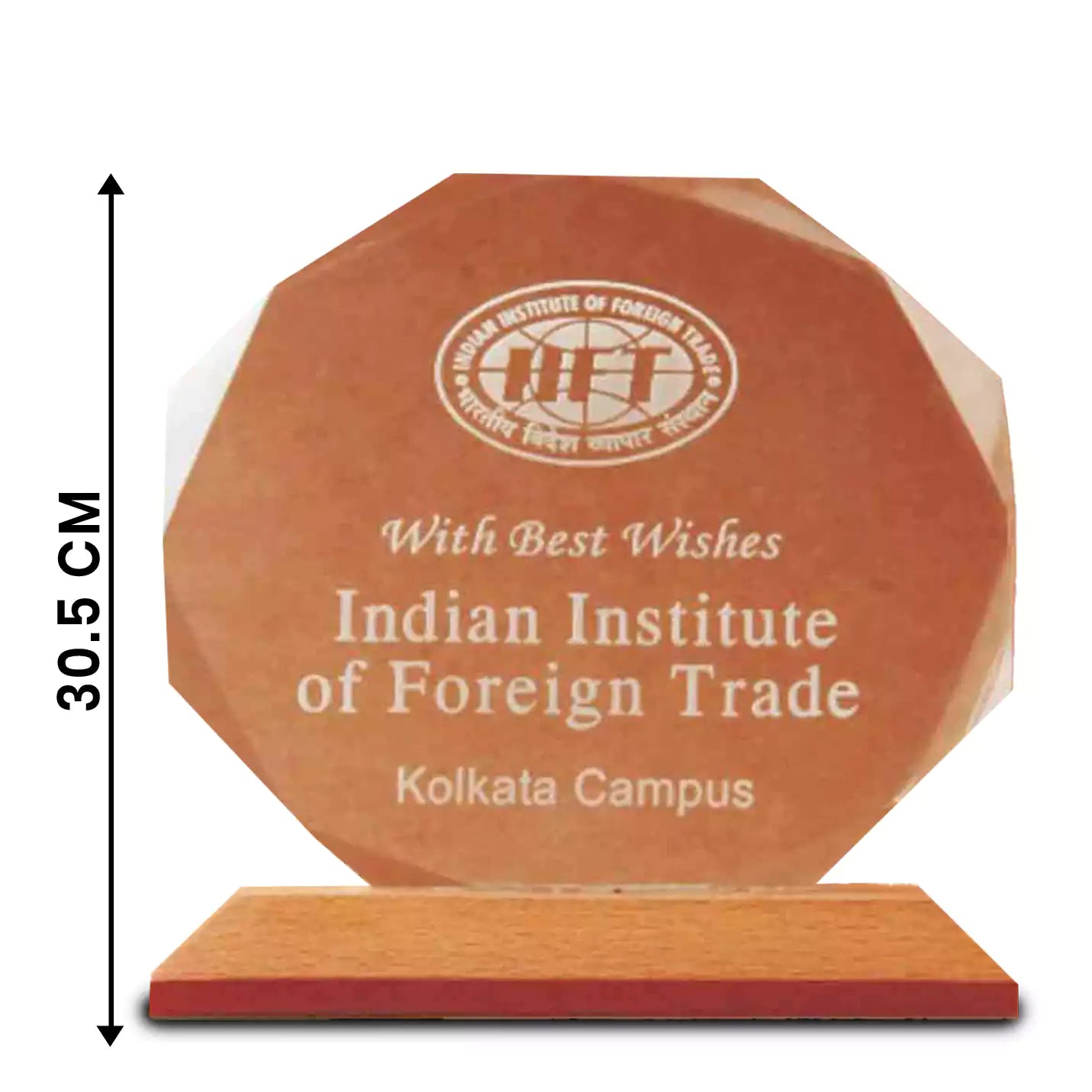 Top-notch Wood & Acrylic Octagon Trophies