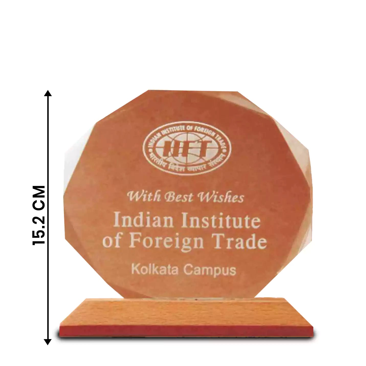 Exquisite Wood & Acrylic Fusion Octagon Trophies