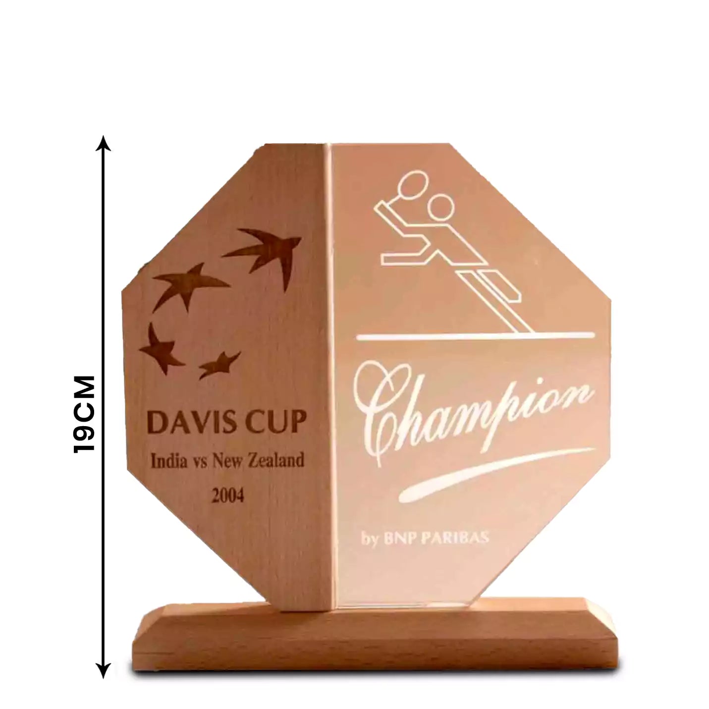 Top-notch Hexagonal Wooden Mementos