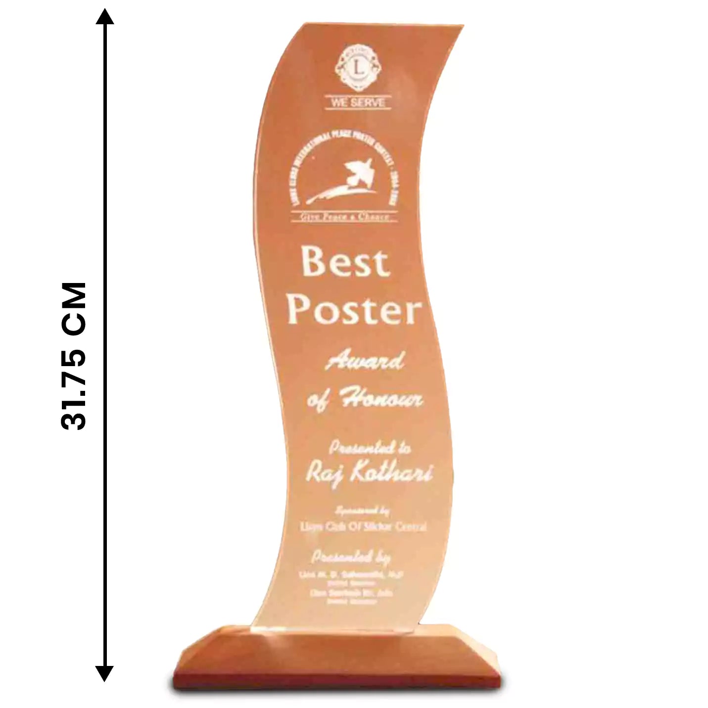 Elegant Acrylic & Wood Fusion Trophies