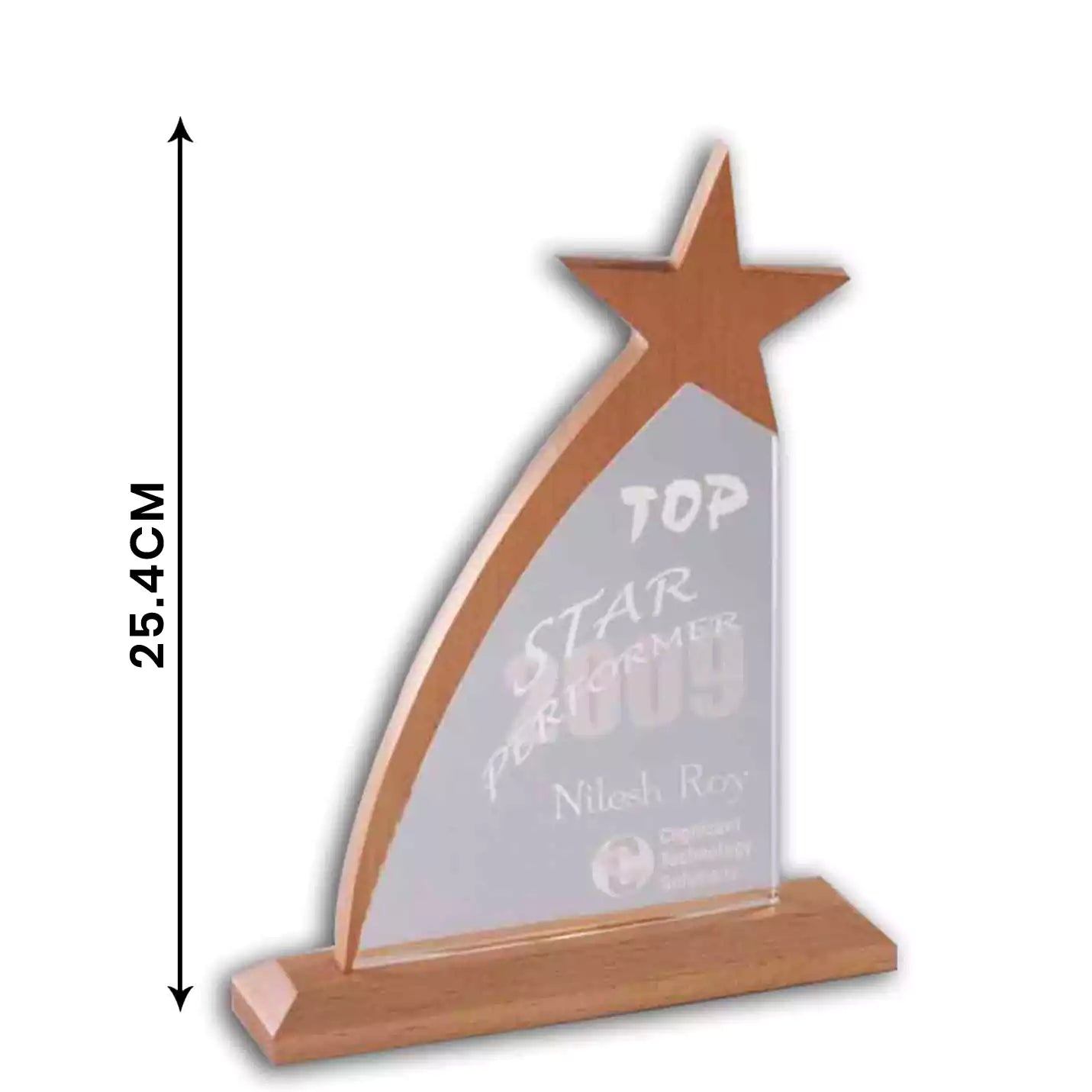 Premium Acrylic & Wood Fusion Star Trophies