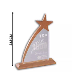 Elegant Acrylic & Wood Fusion Star Trophies