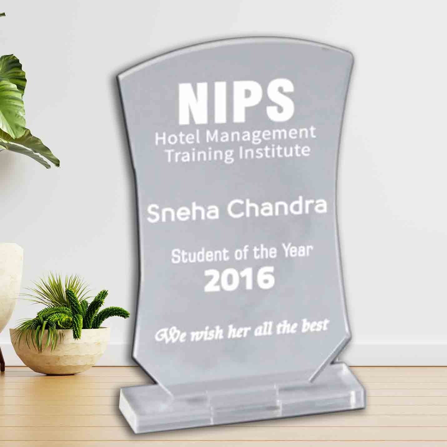 Customised Acrylic Champions Trophies