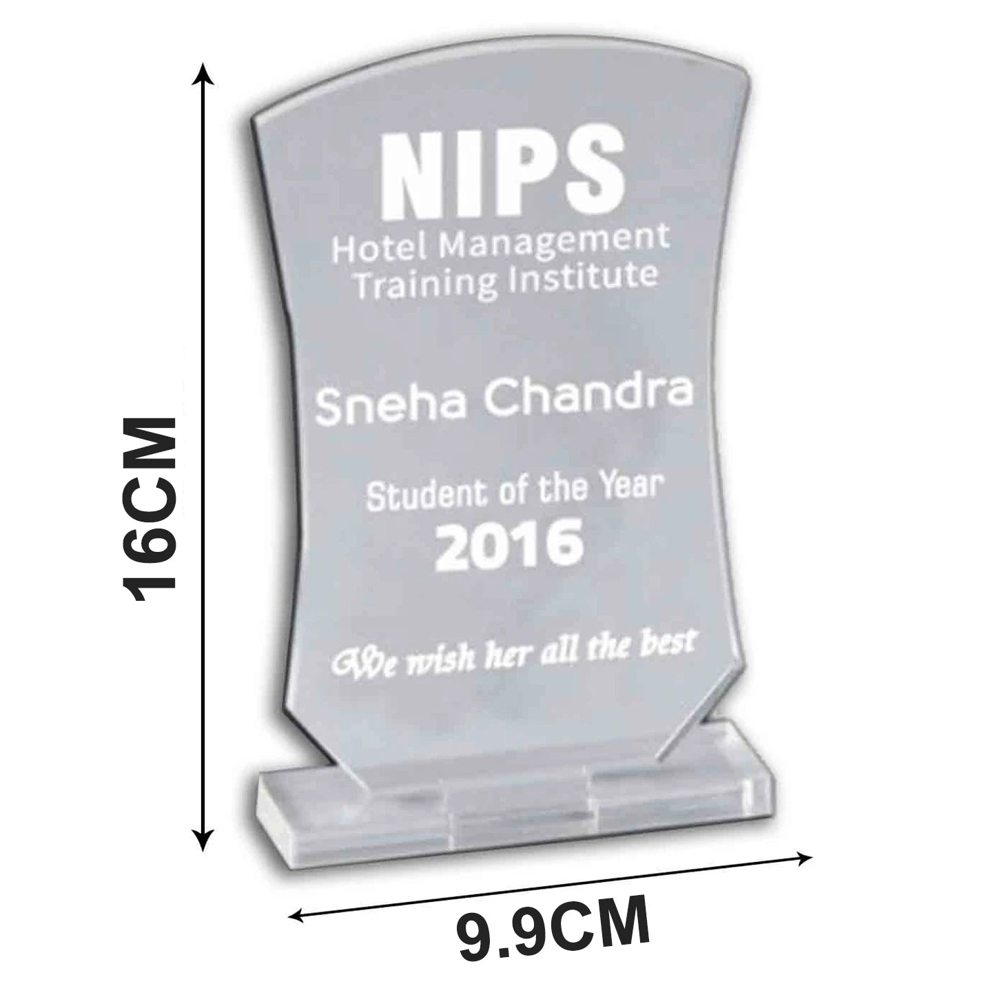 Best-quality Acrylic Champions Trophies