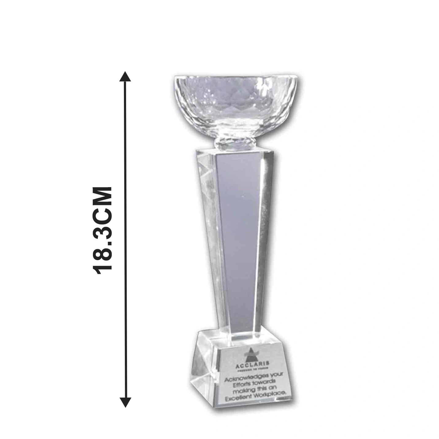 Apex Crystal Champions Trophies