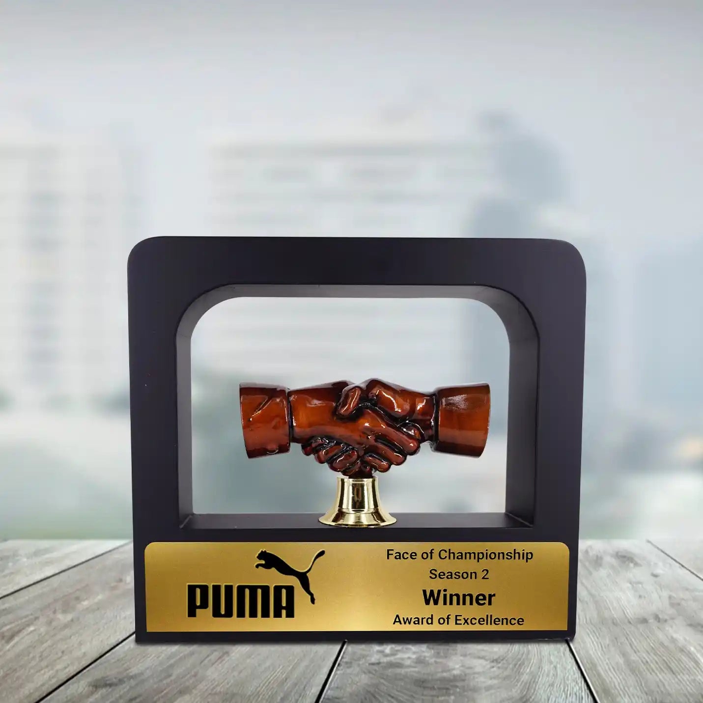 Elite Metal Handshake Trophy Encased in Wooden Frame Img 1