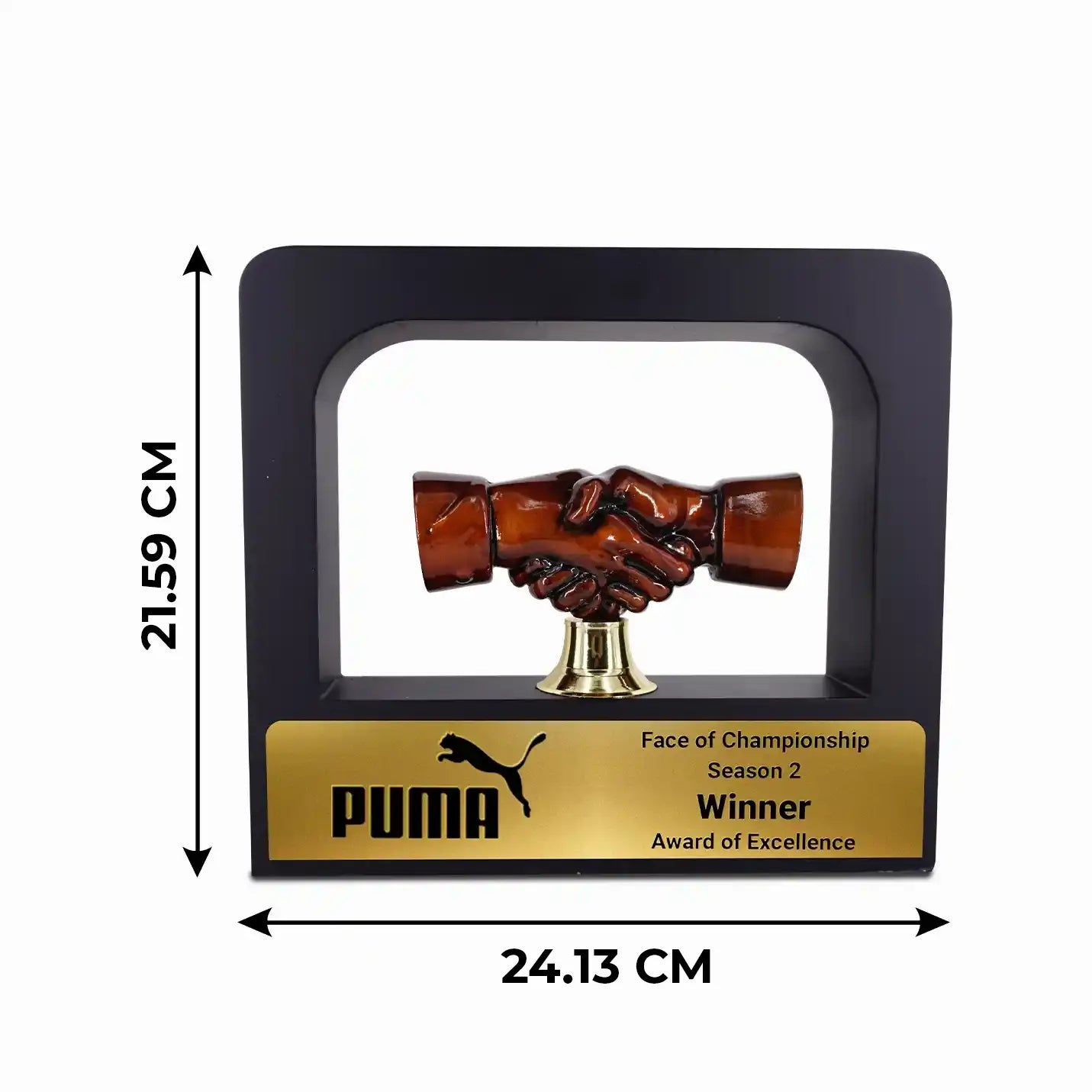 Elite Metal Handshake Trophy Encased in Wooden Frame Img 2