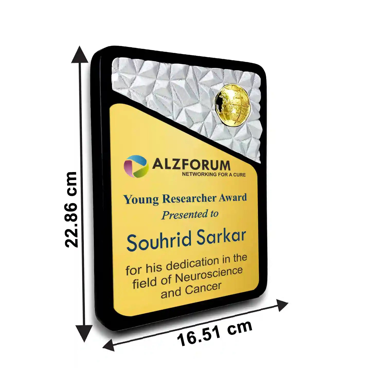 Top-tier Excellence Rectangular Wooden Plaque