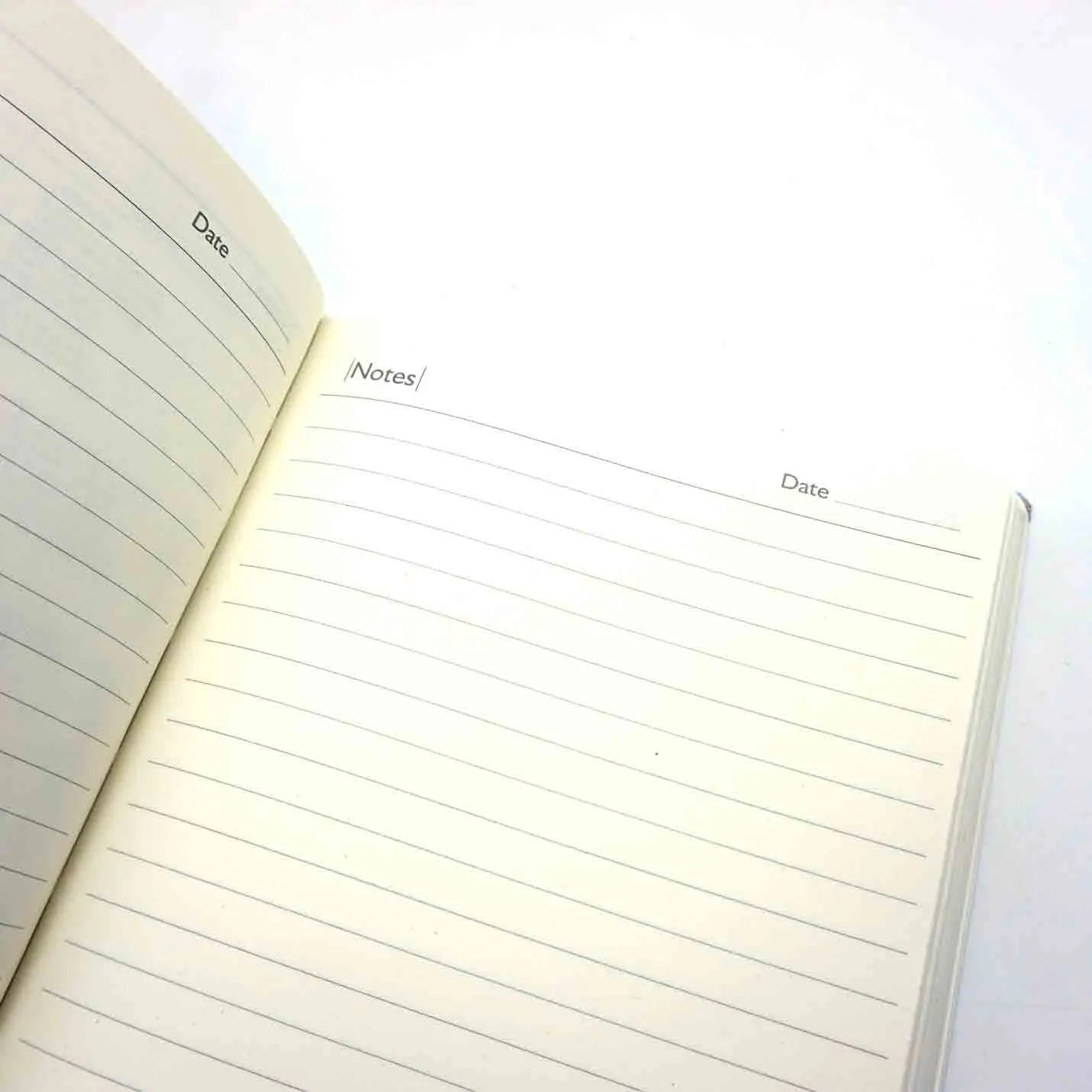 Premium-Quality Blue Economy Office Diary Img 3