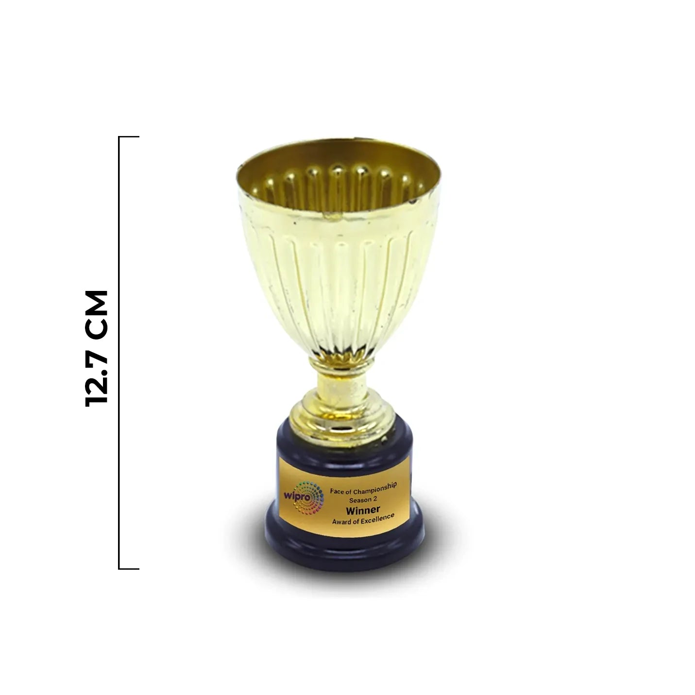 Fiber Trophy with Customized Printed Metal Sheet Img 2