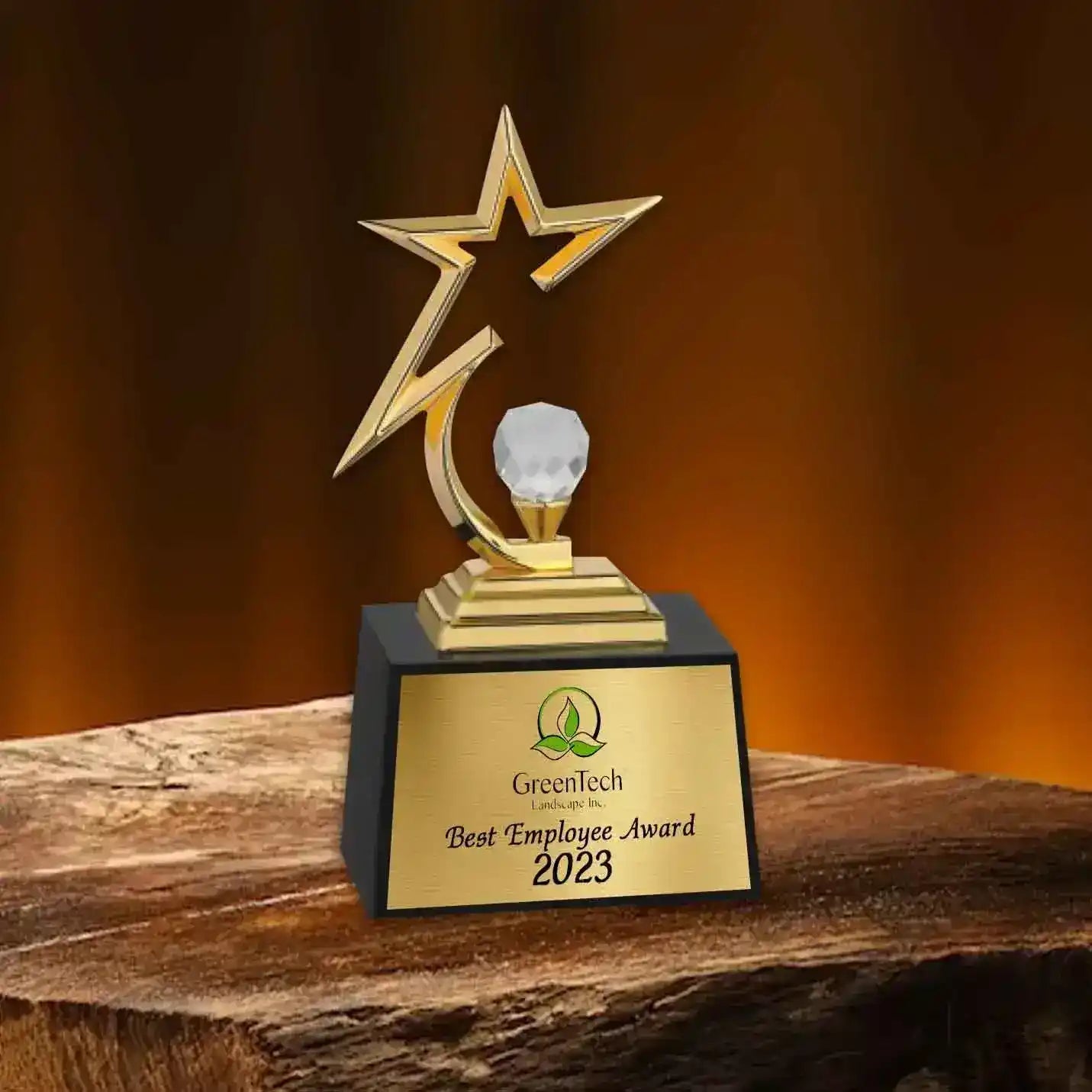 Crystal-Studded Star Trophy