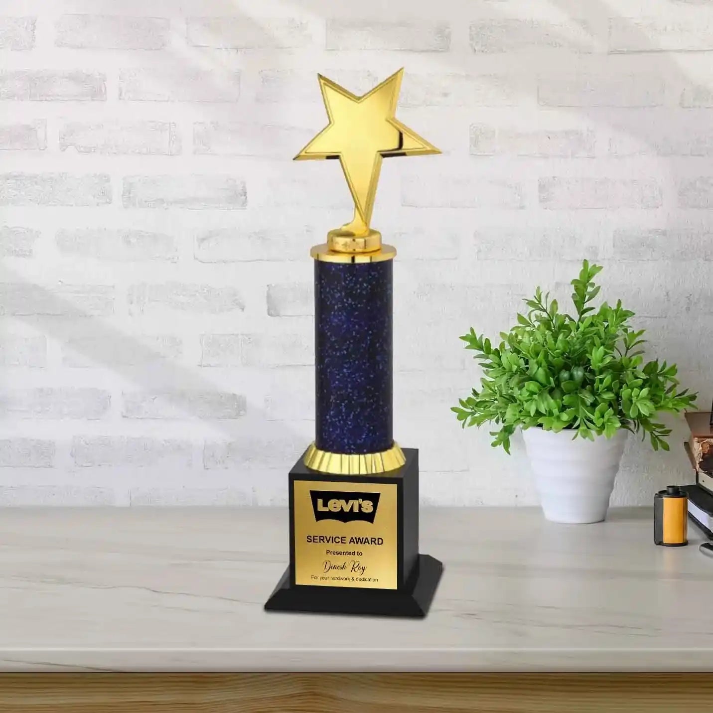 Top-Quality Star Winner Trophy