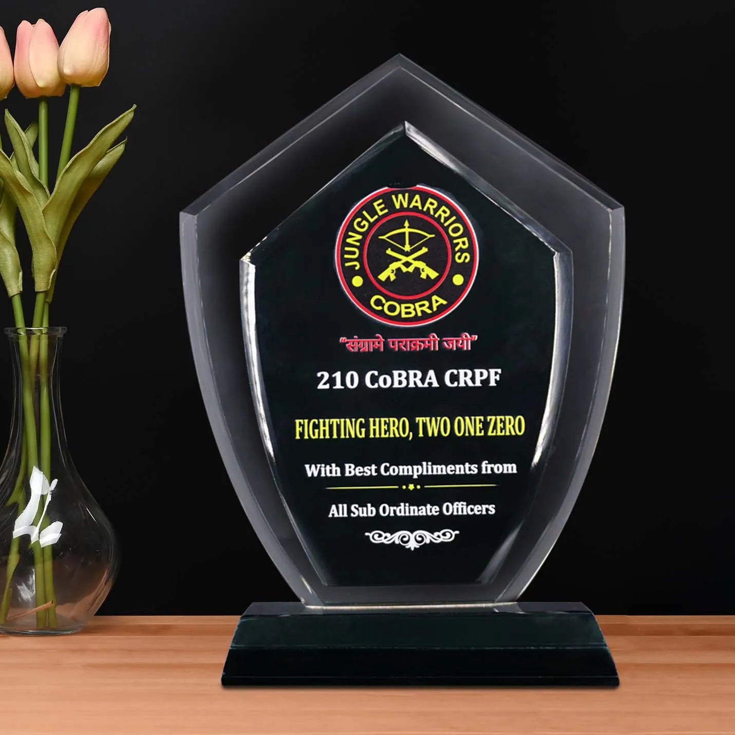 Customized Crystal Achievement Trophies