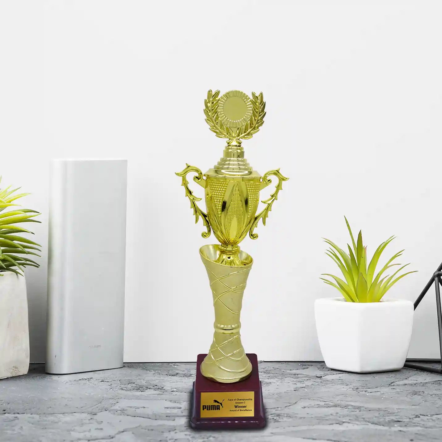 Custom-made Gold-Plated Victory Trophy