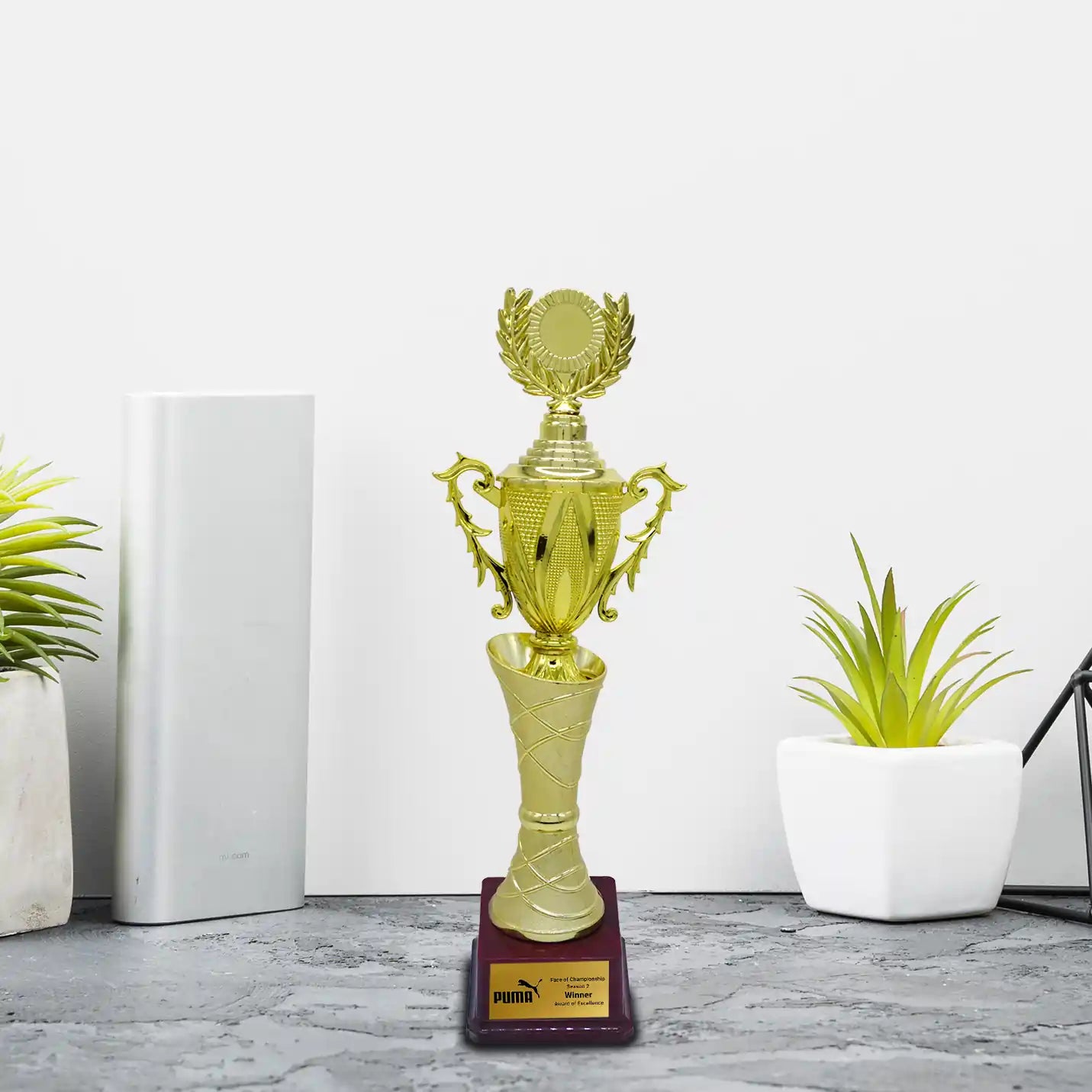 Personalised Gold-Plated Trophy