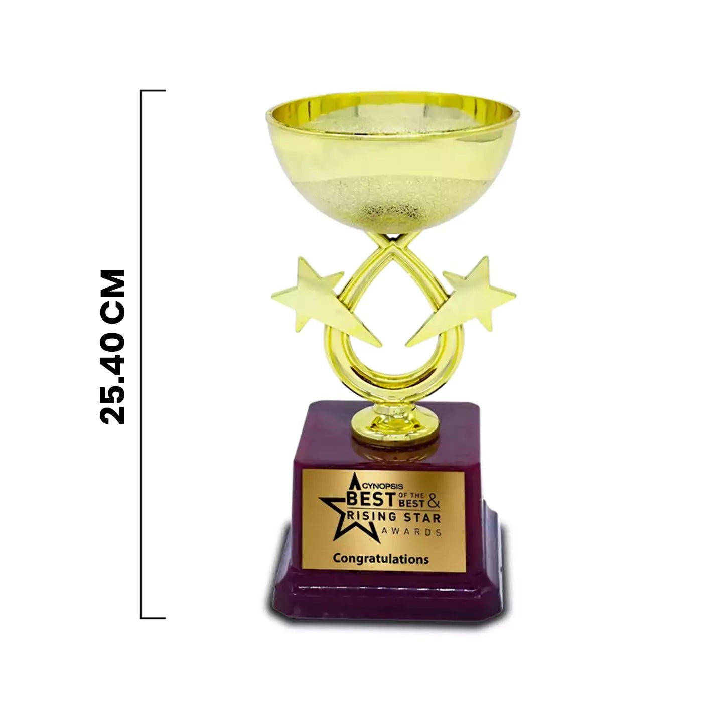 Best-Quality Golden Champion's Trophy img 2