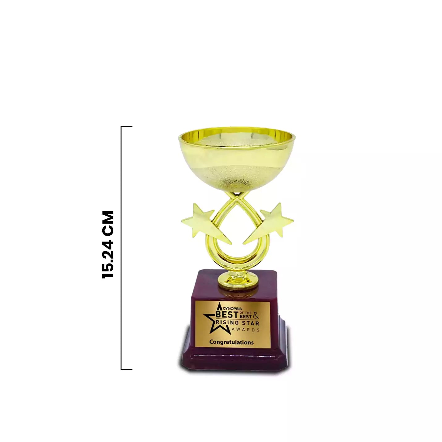 Top-notch Golden Achievement Trophy Img 2