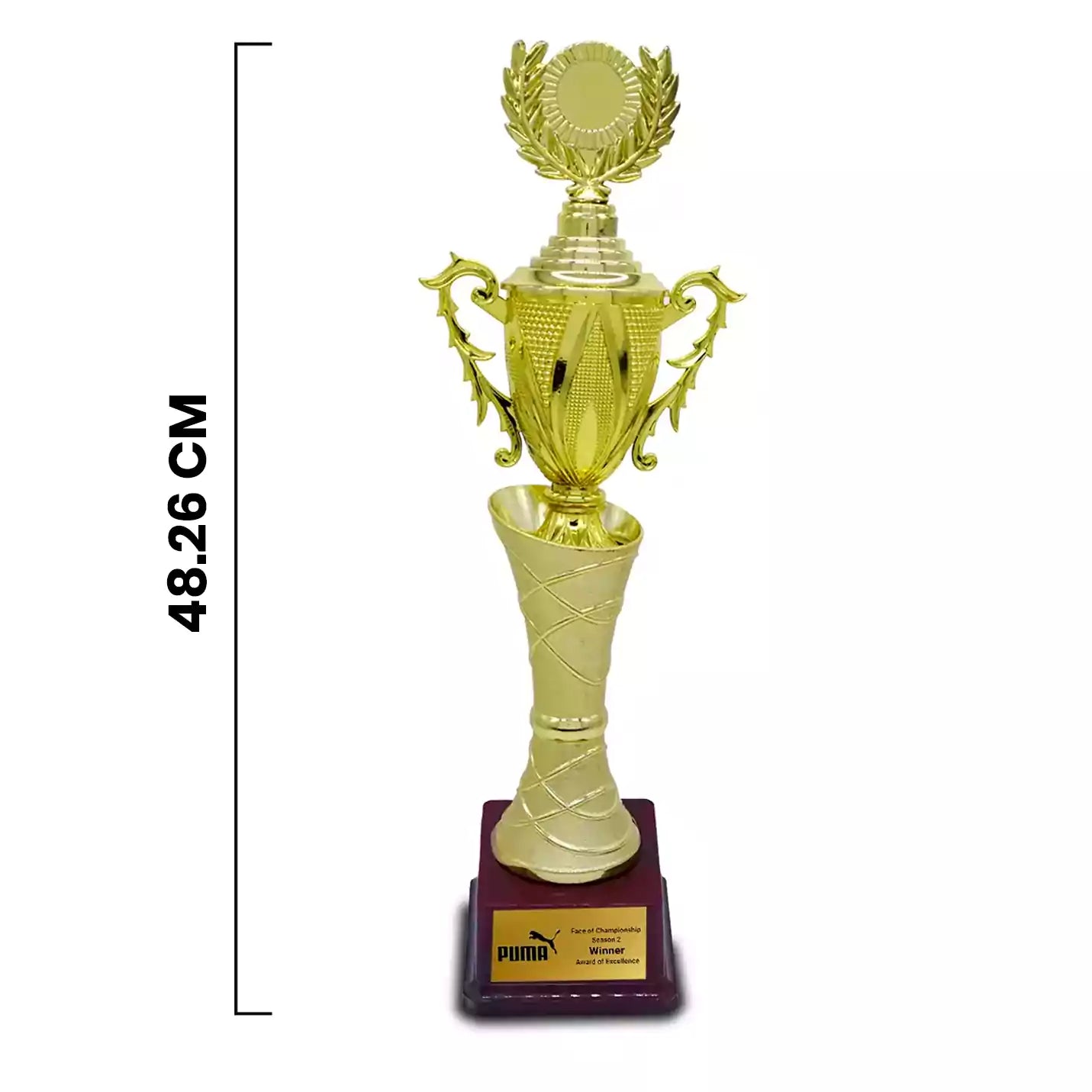 Best-Quality Golden Achievement Trophy Img 2