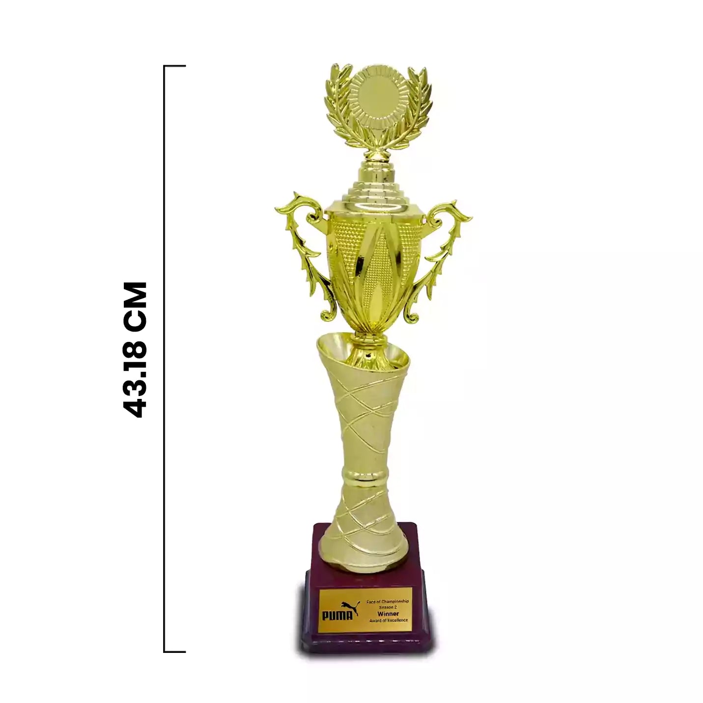 Custom Made Winner Fiber Corporate Trophy Img 2