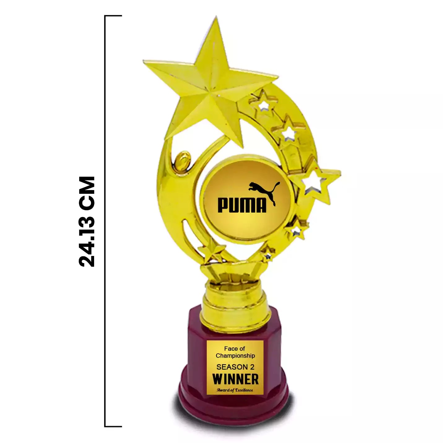 Elite Golden Star Achievement Trophy Img 2