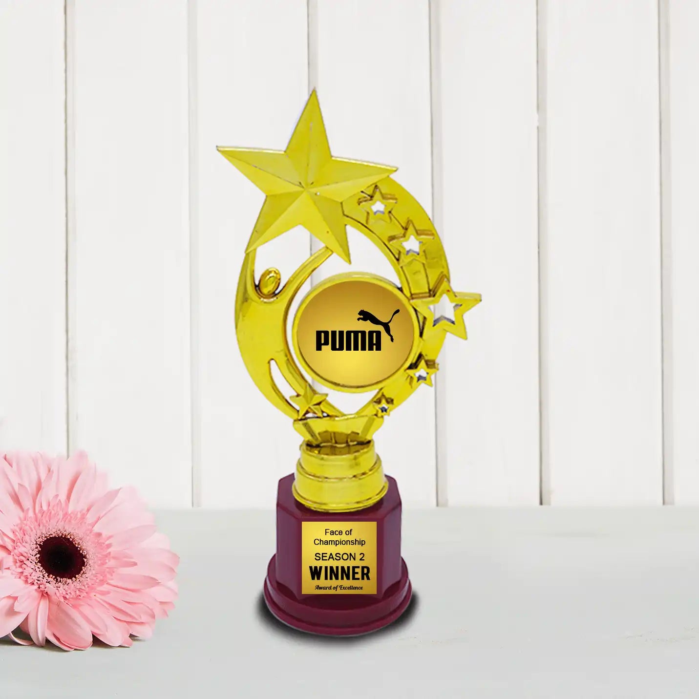 Premium Office Gold Star Victory Trophy