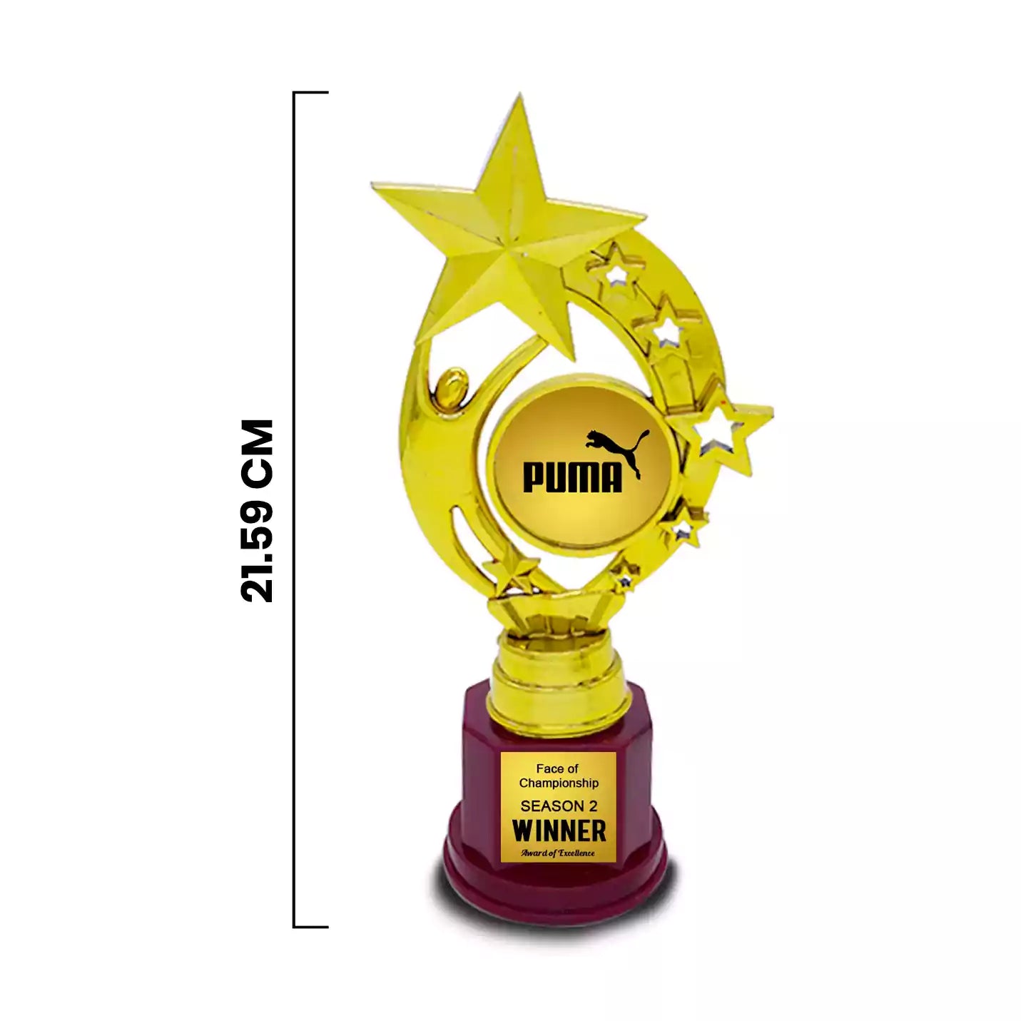 Premium Gold Star Victory Trophy Img 2