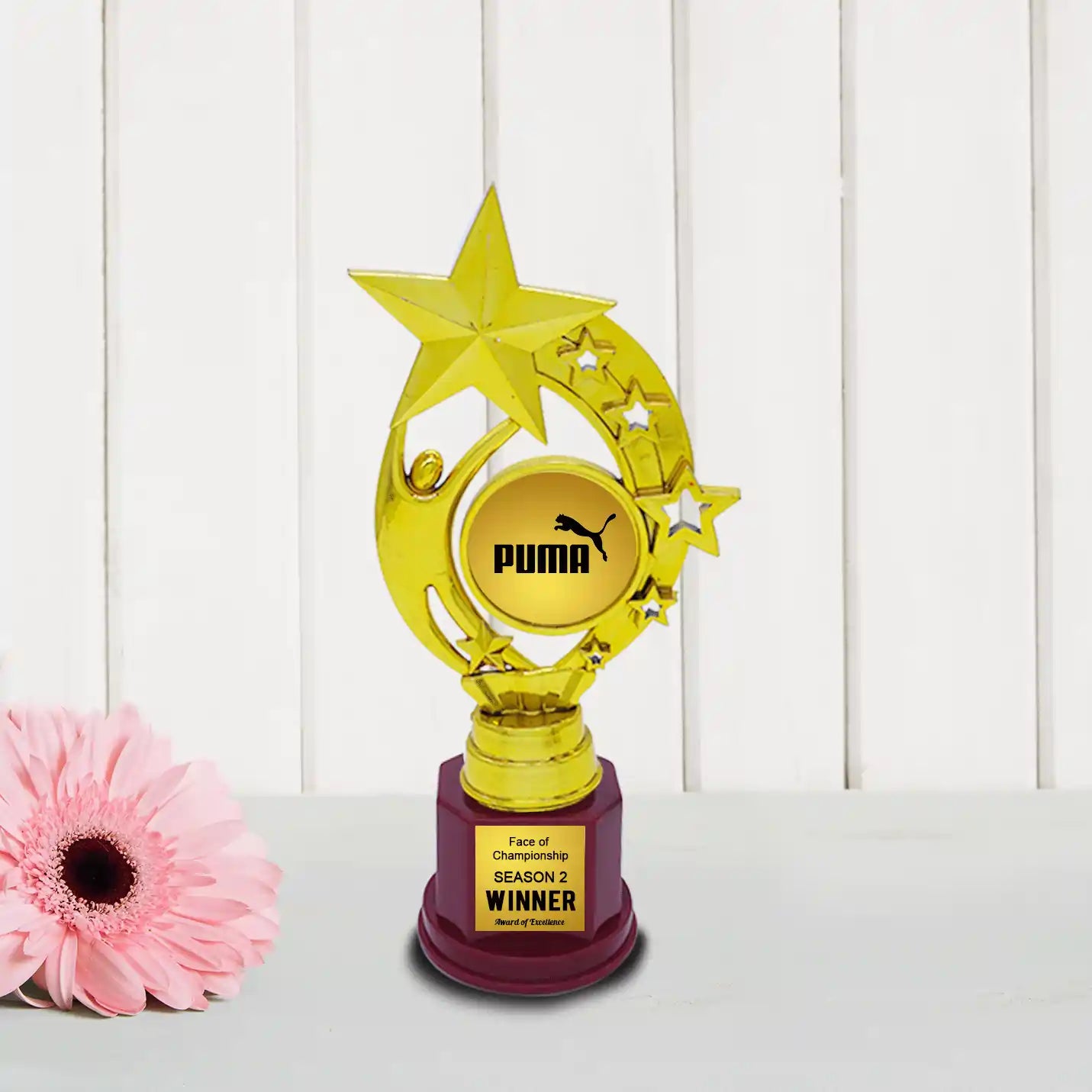 Corporate Golden Star Champion Trophies