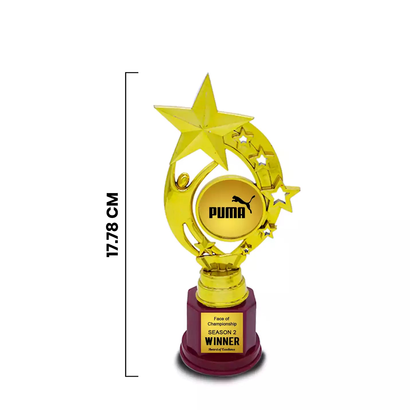 Majestic Golden Star Champion Trophy Img 2