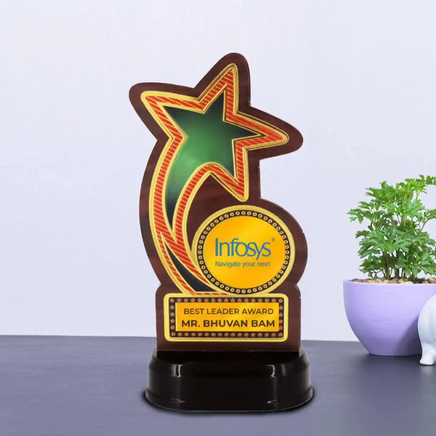 Top-notch Excellence Star Trophy